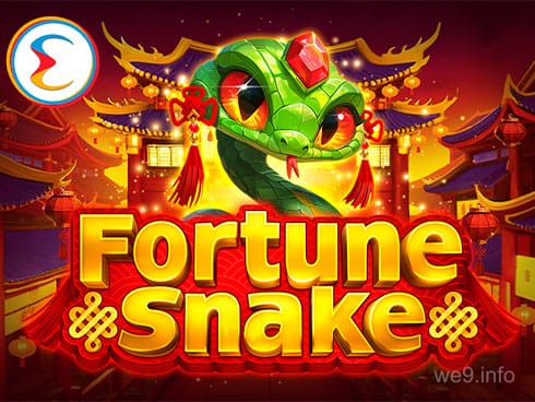 Fortune Snake Game Preview